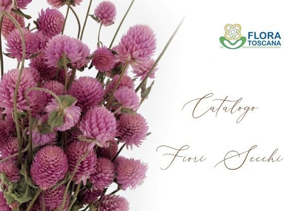 fiori secchi catalog