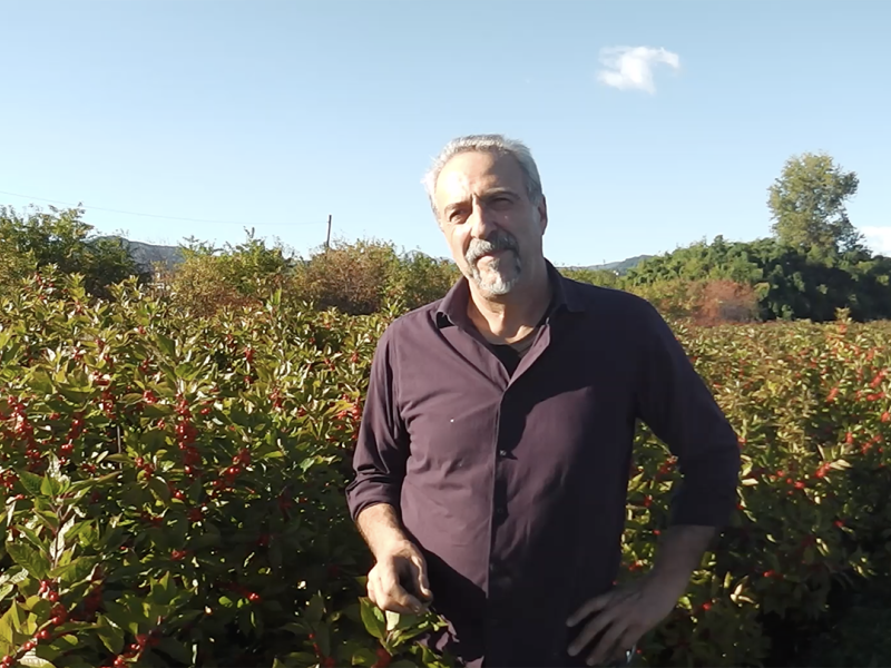 Let’s meet Flora Toscana’s partners