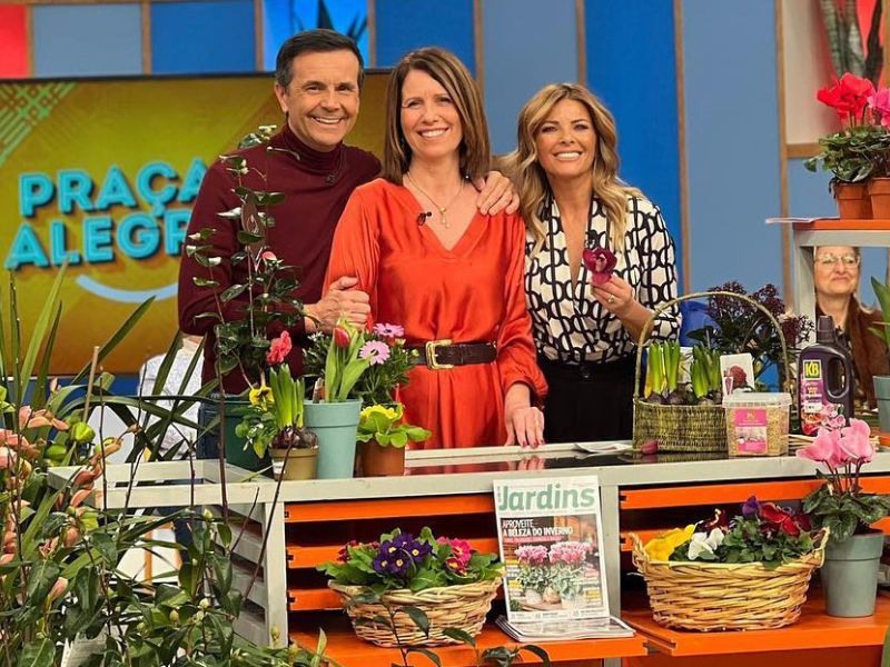 Our barr-orch® Cymbidium collection on TV