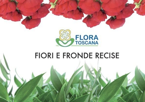 fiori e fronde recise