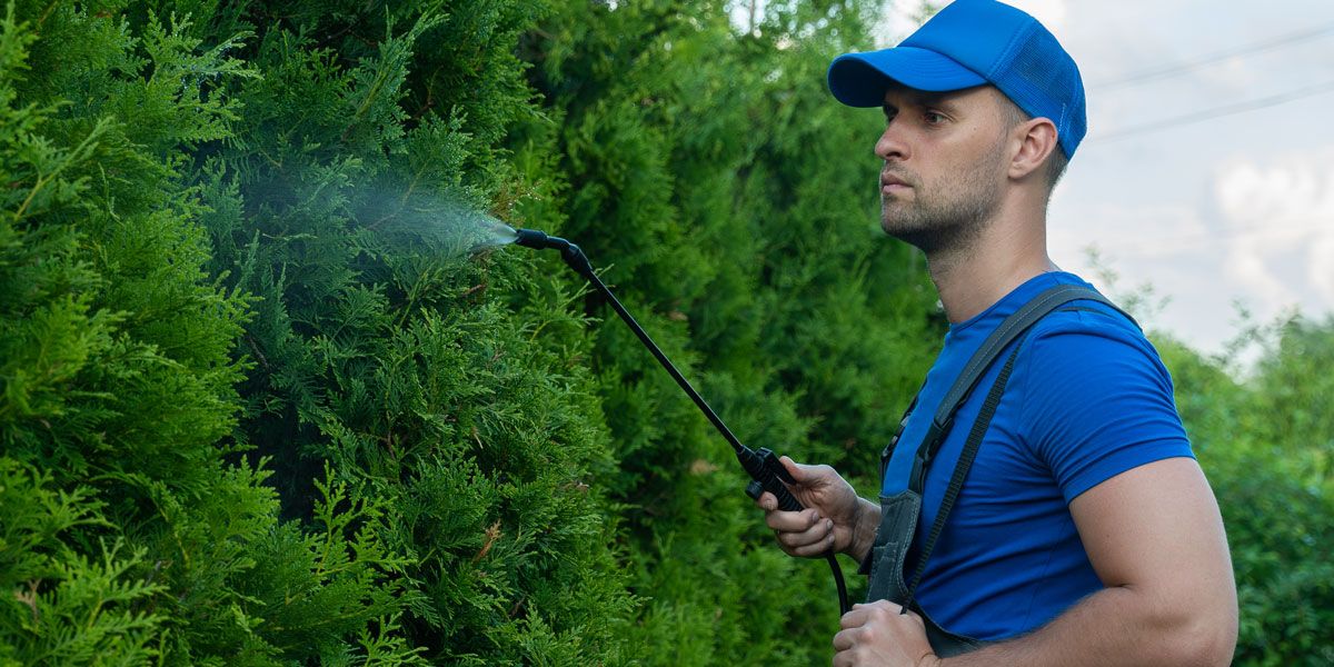 consigli-concimazione-fogliare-flora-toscana