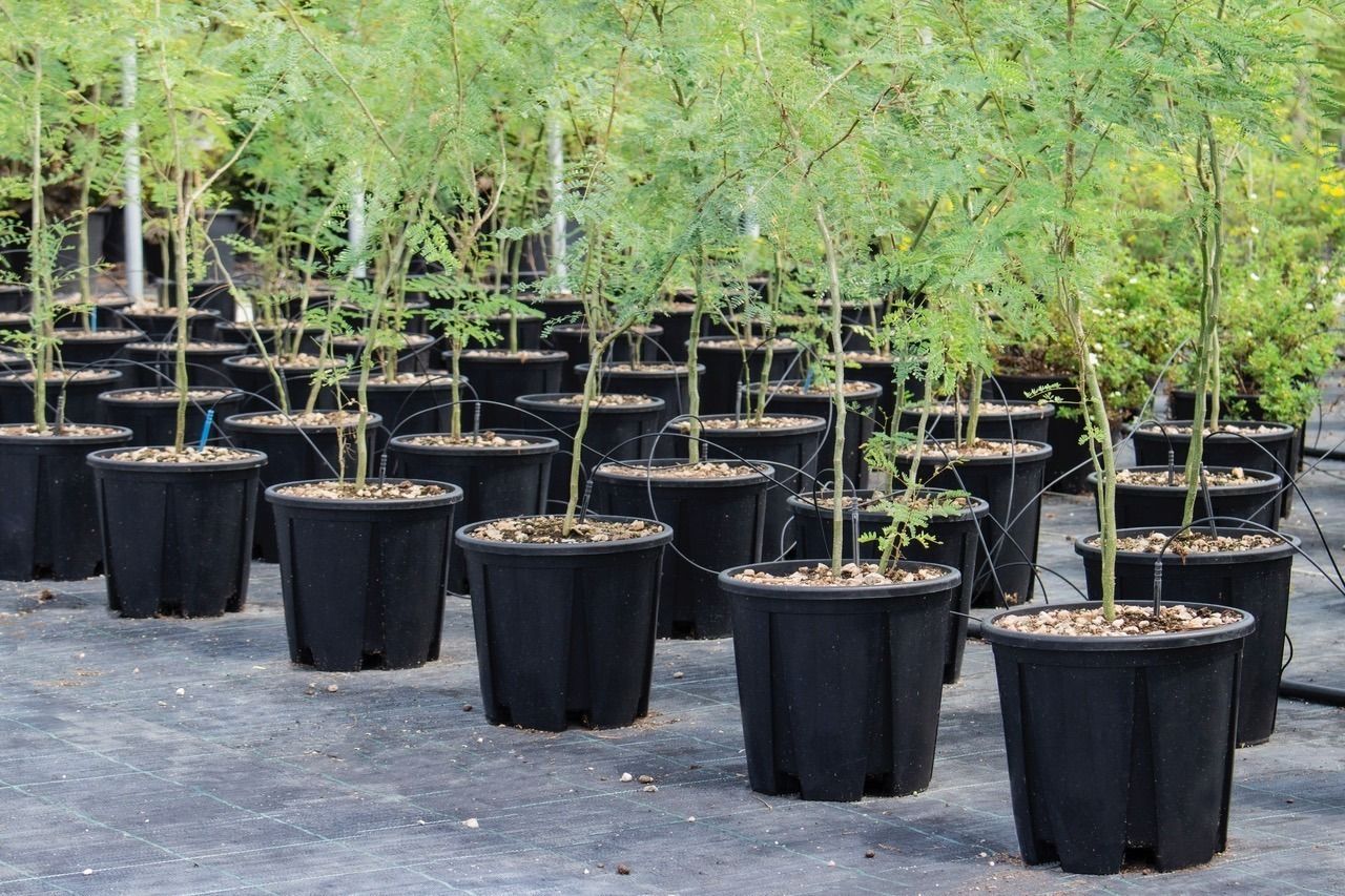 Vasi professionali per orticoltura e florovivaismo