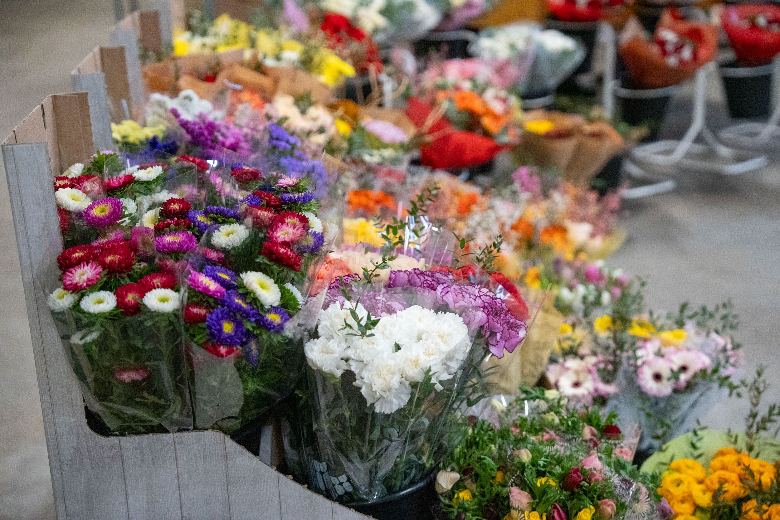 Operational support for project-based work