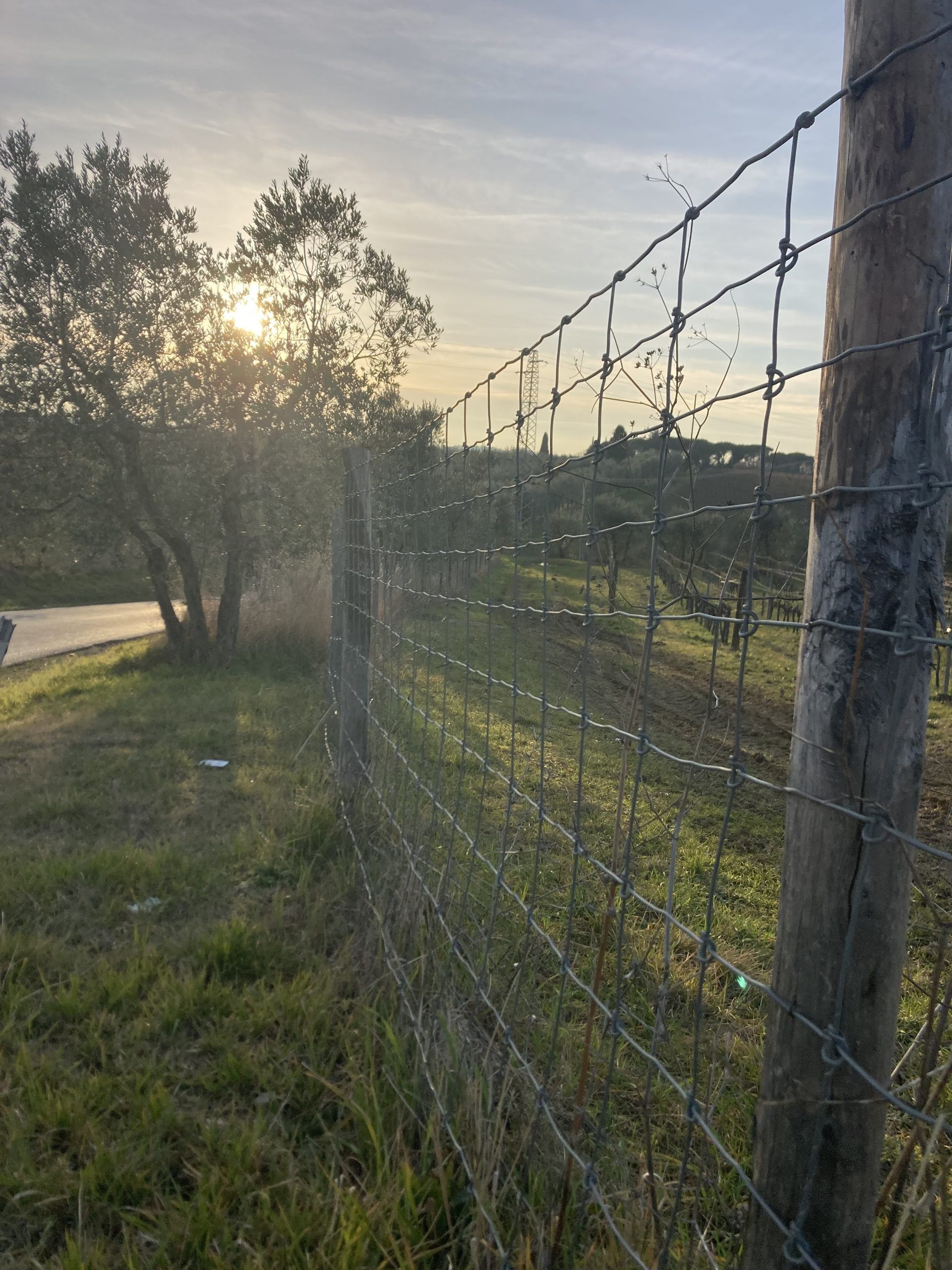 Pali e recinzioni agricole