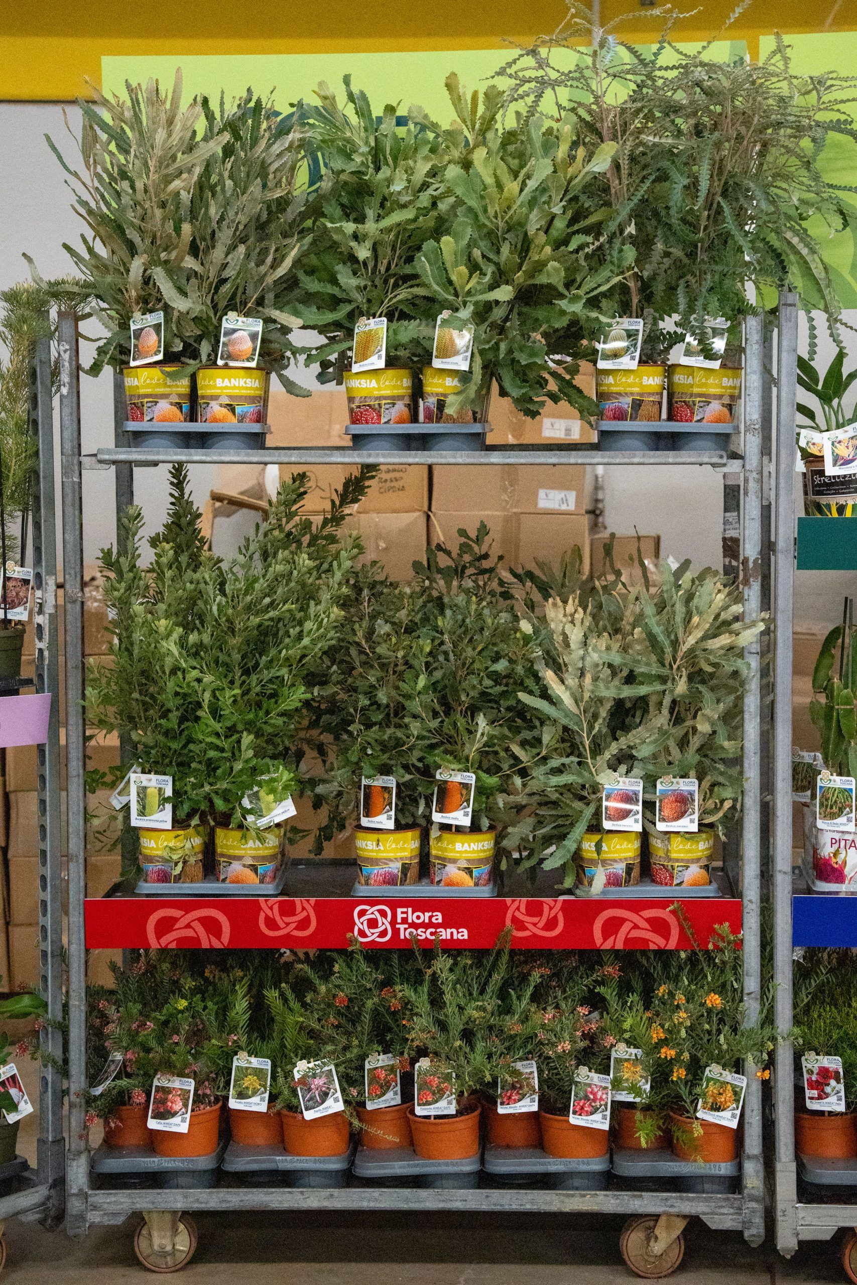 Produzione e qualità