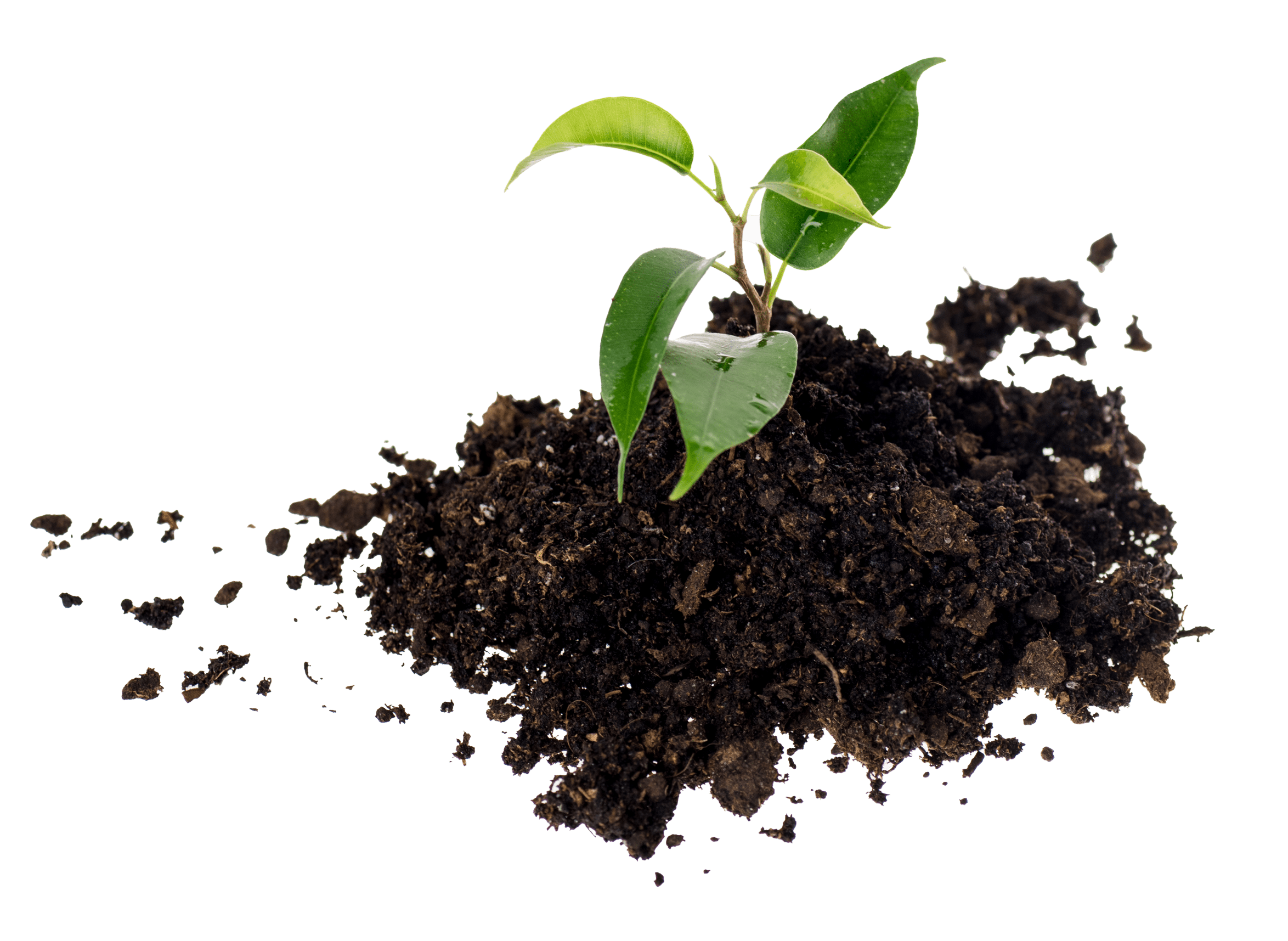 Torbe, substrati e terricci professionali