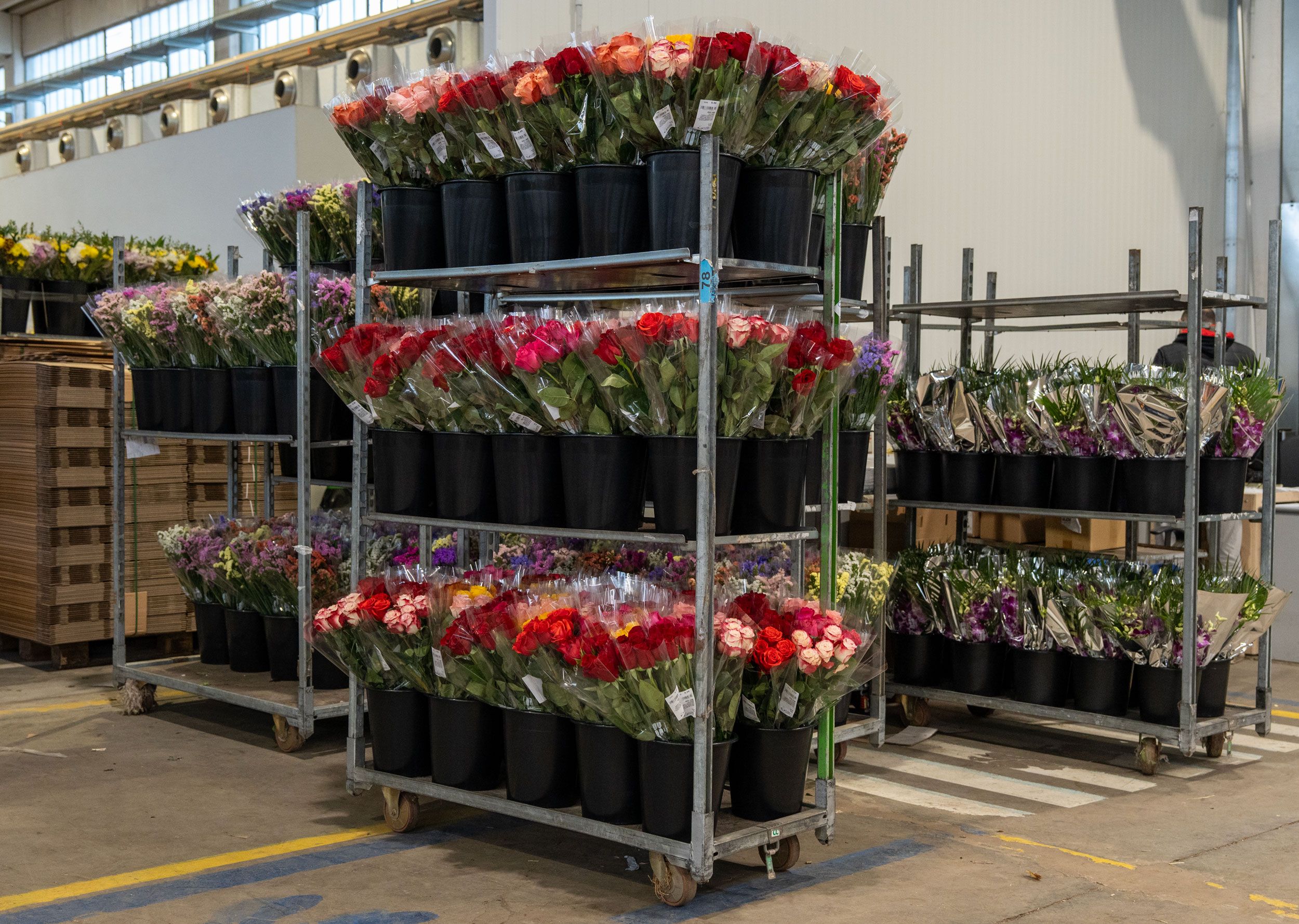 Cash & Carry: direct access to supply