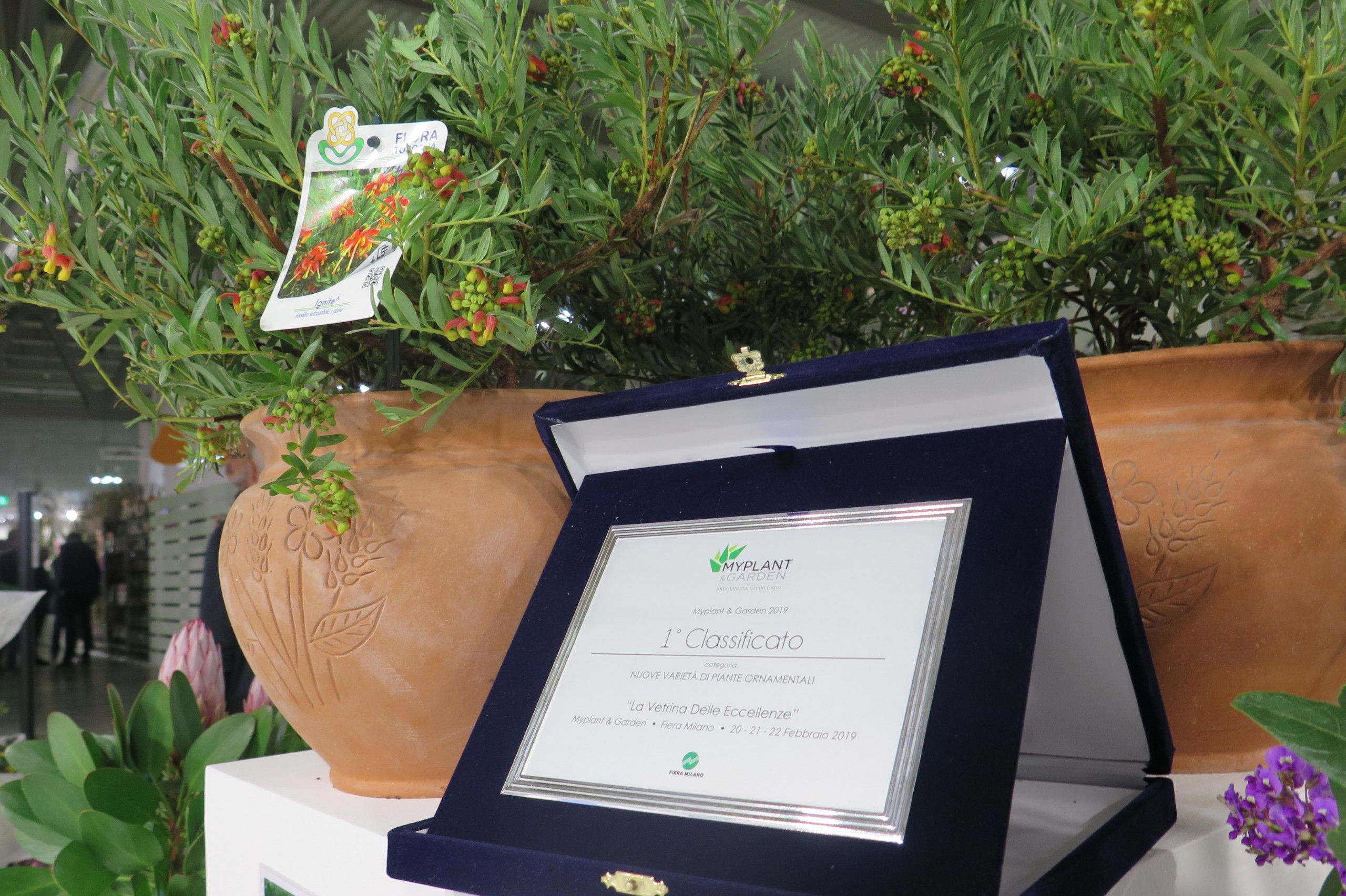 my-plant-1classificato-premio