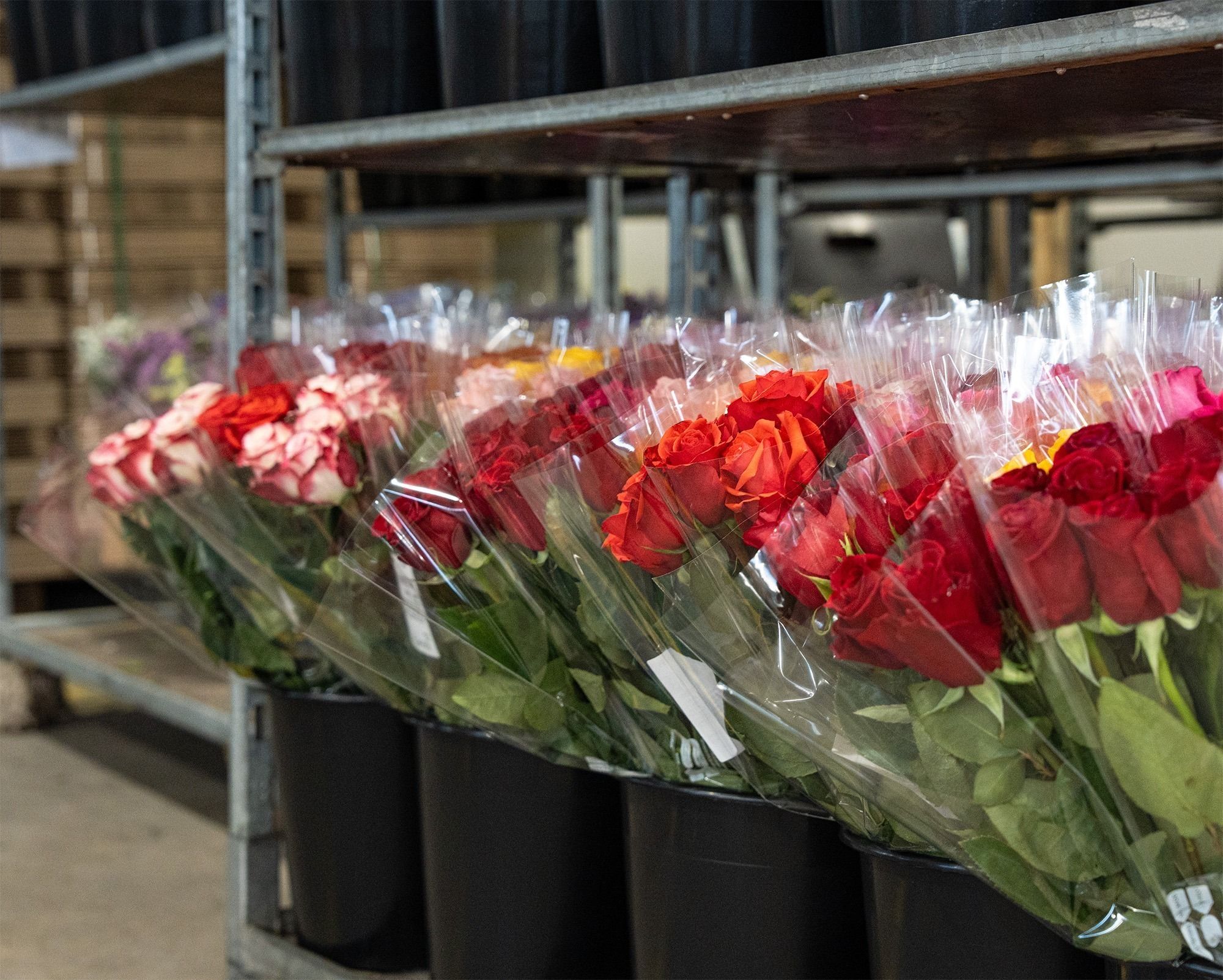 bouquet di fiori selezionati