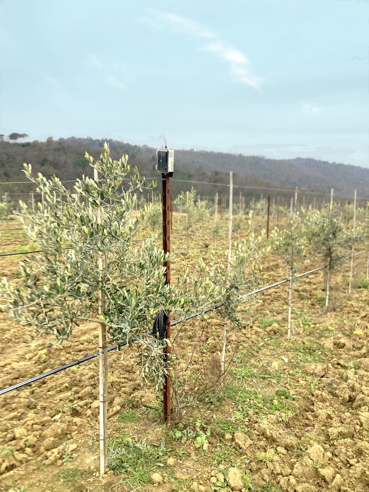 Impianti di irrigazione