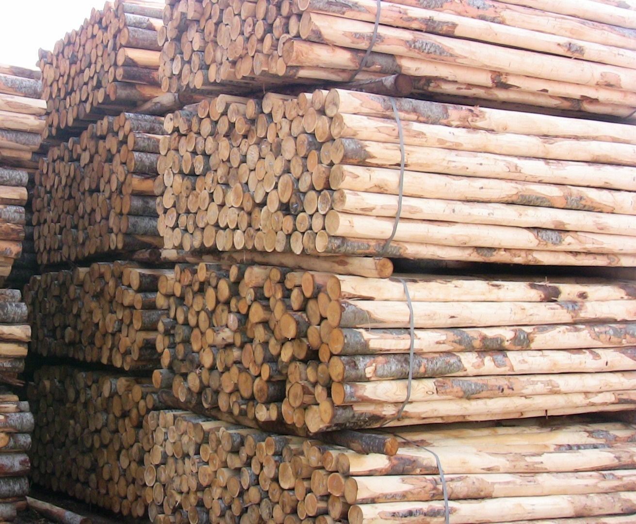 Accessori e materiali complementari