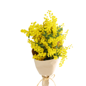 Festa della Donna