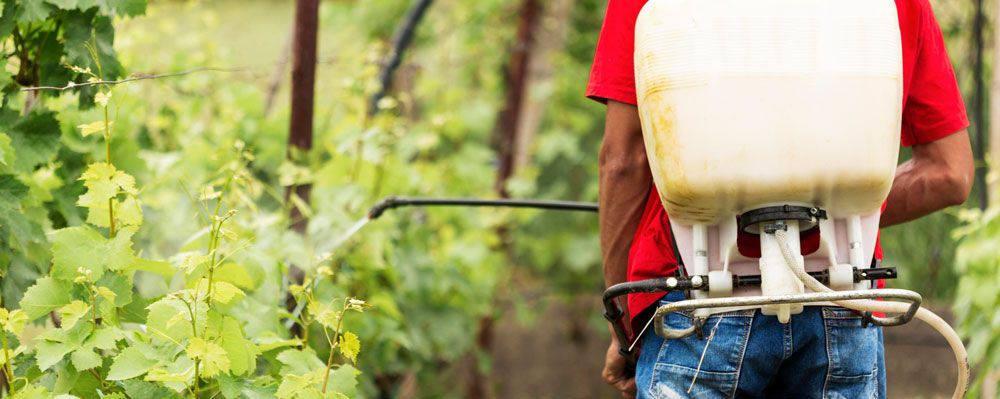 trattamento-agrofarmaci-copertina