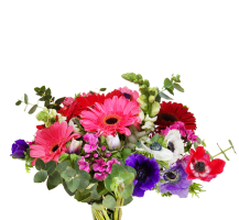 bouquet linee tematiche