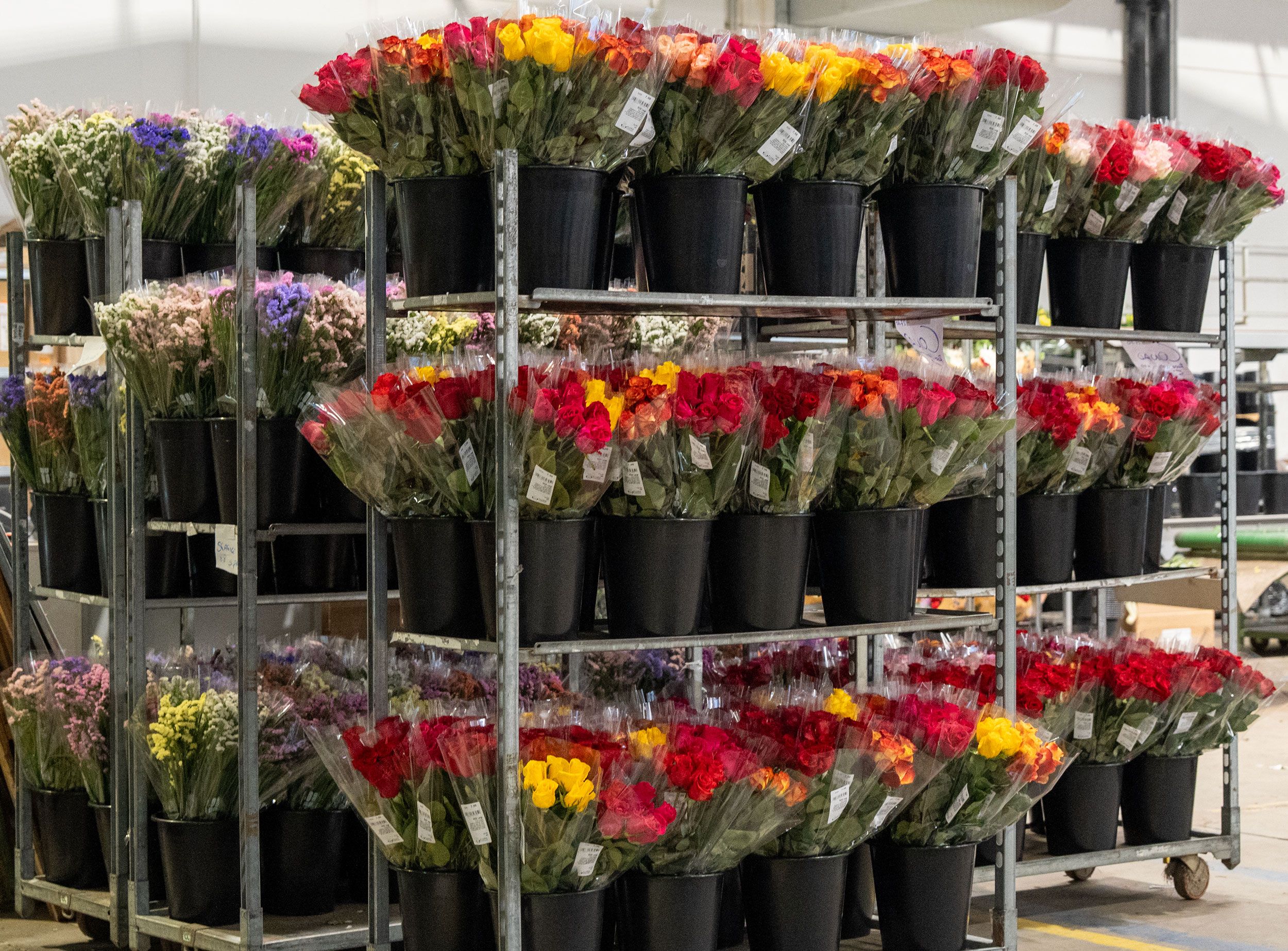 Operational support for project-based work