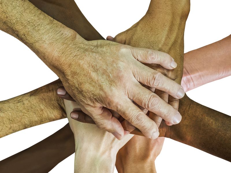 contributo finanziario