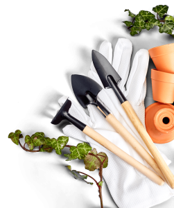 Prodotti e servizi per l'agricoltura