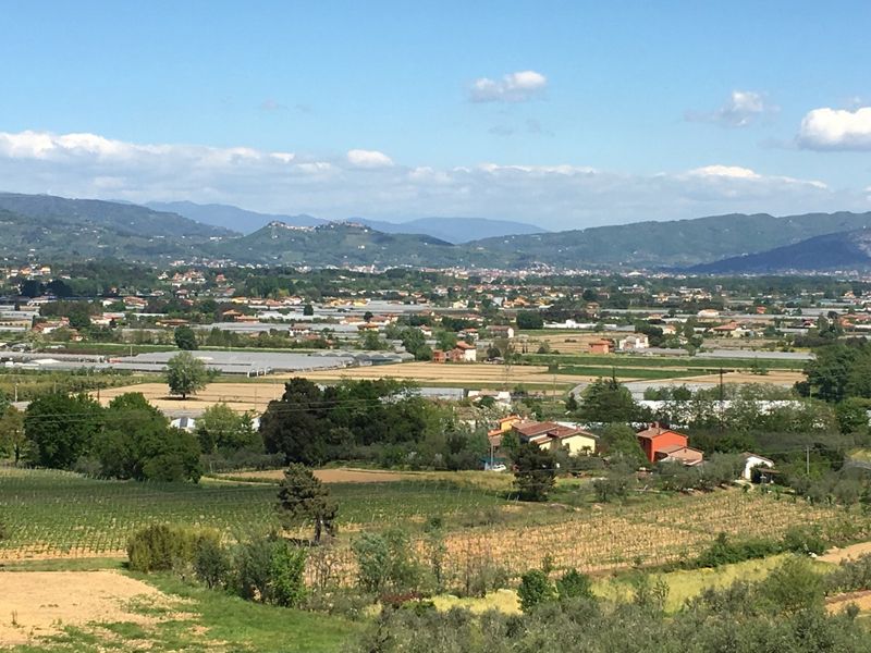 rilancio-del-distretto