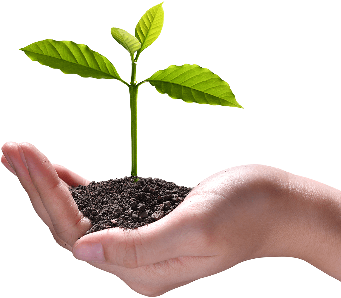 European projects serving the supply chain