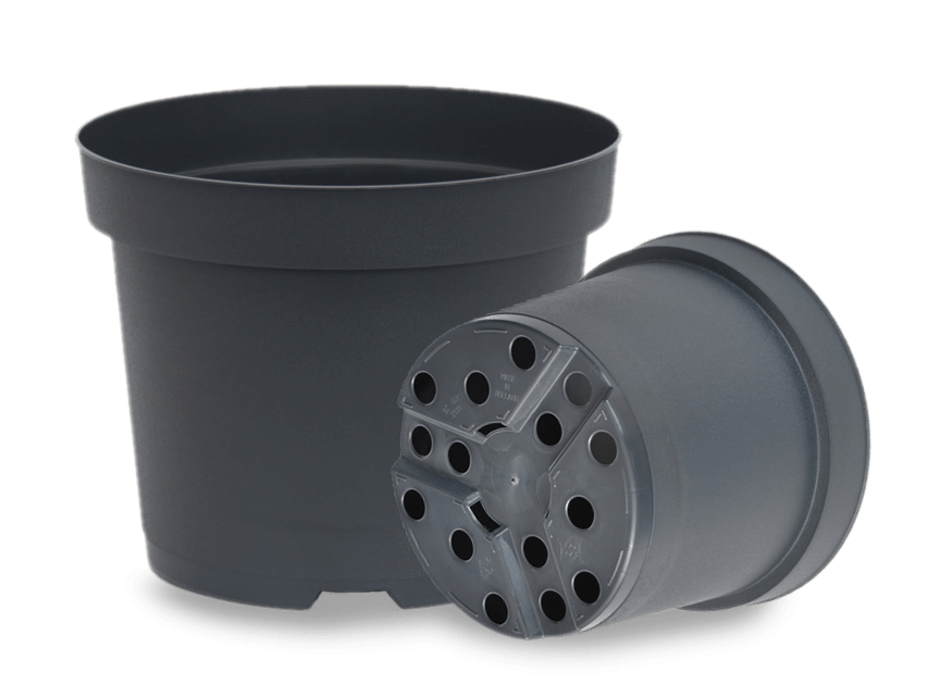 Sostenibilità e innovazione