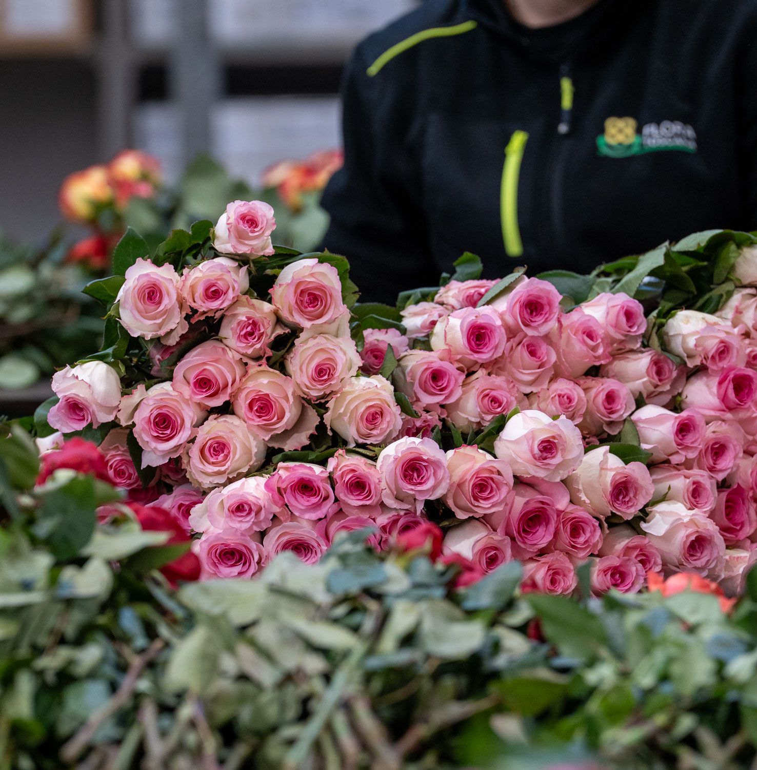 Suppliers of flowers and plants for weddings, floral designers, and events