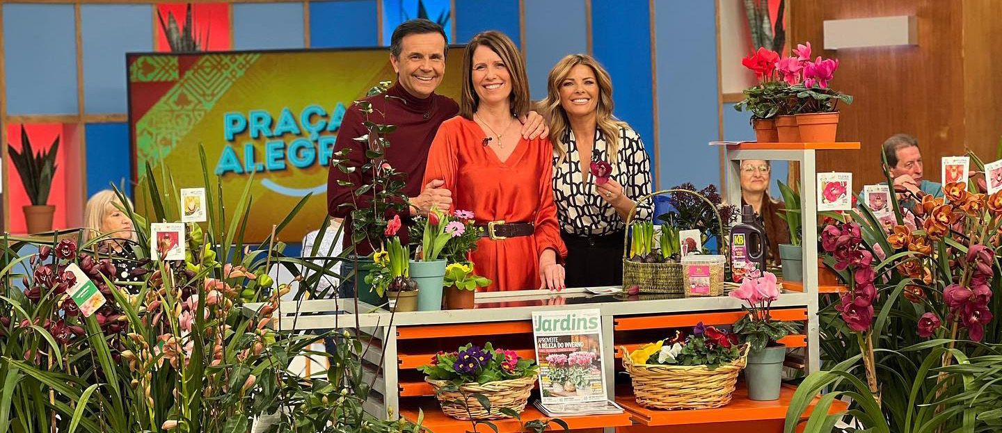 cymbidium-Barrorch-in tv-Praça da Alegria