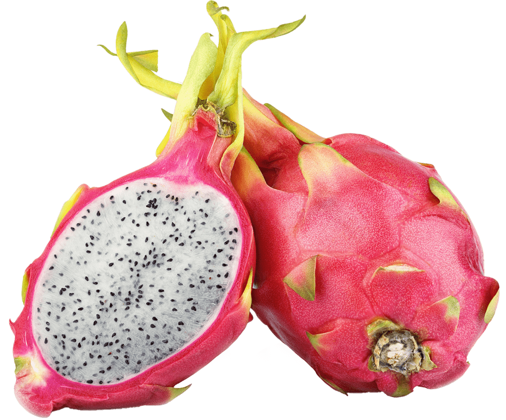 Piante iconiche tra forma e identità