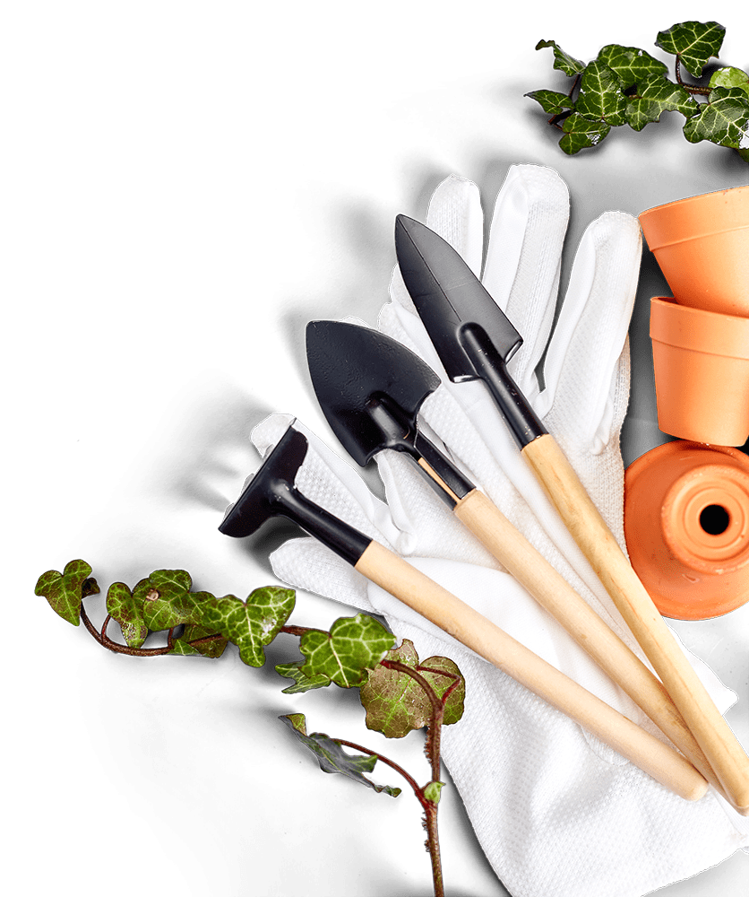 Fornitori di prodotti per agricoltura e florovivaismo