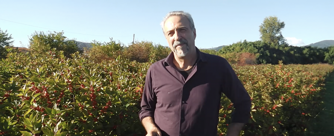 Ugo-Conforti-Flora Toscana-En