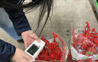 lecosflo-analisi-flora-toscana