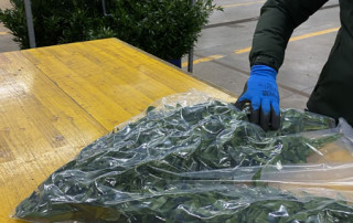 lecosflo-sottovuoto-floratoscana