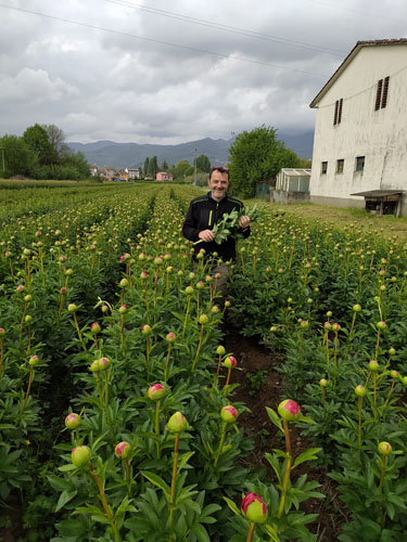 foto-marsalli (20) foto-marsalli