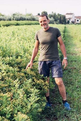 foto-marsalli (21) foto-marsalli