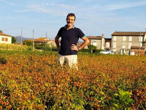 foto-marsalli (3) foto-marsalli