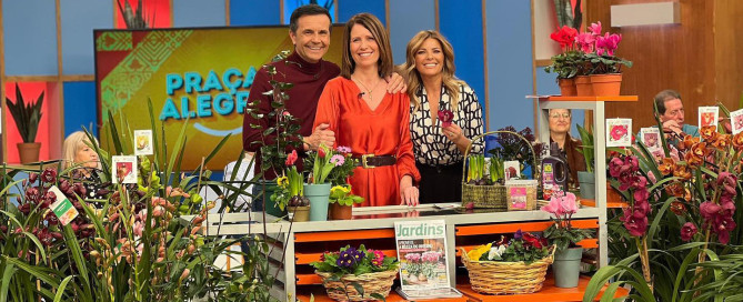 cymbidium-Barrorch-in tv-Praça da Alegria