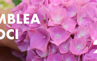 copertina-assemblea-soci-2023