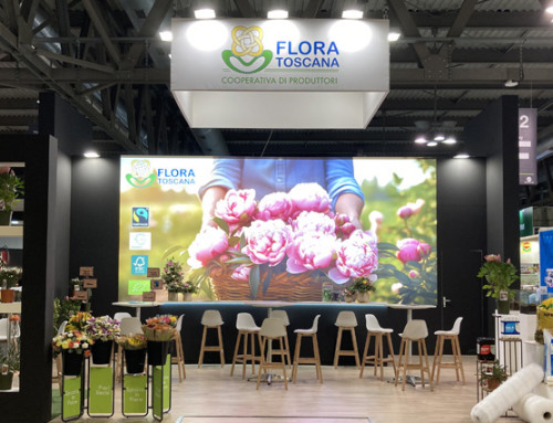 My Plant & Garden 2024 – risultati