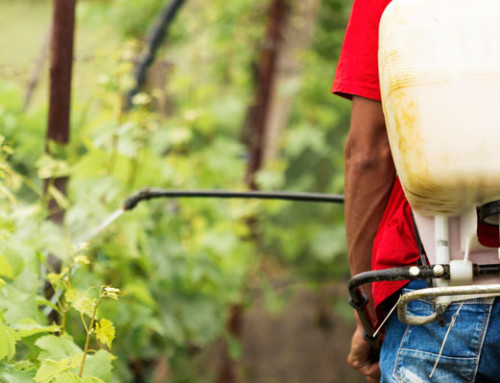 Cosa si intende per resistenza agli agrofarmaci?