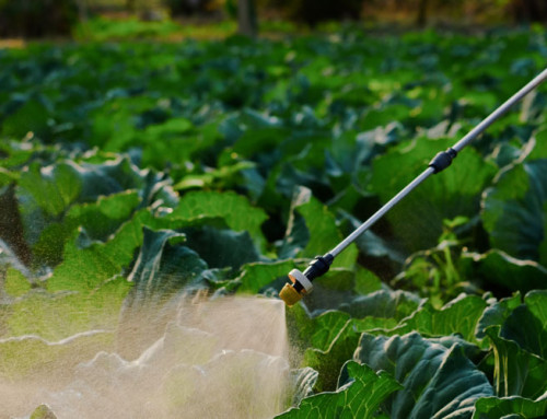 Aggiornamento Classificazione Erbicidi HRAC (Herbicide Resistance Action Commitee)