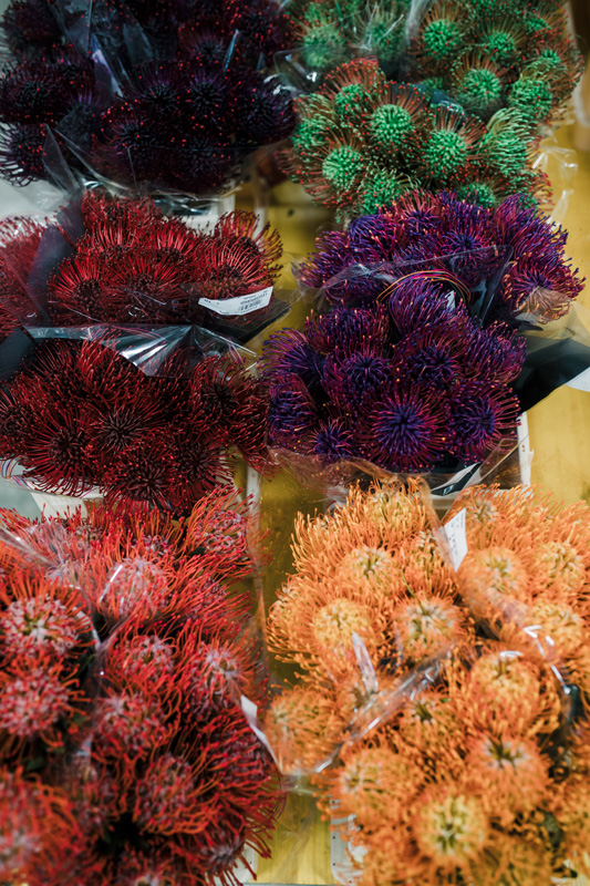 FT_BStore_17.11.24-12