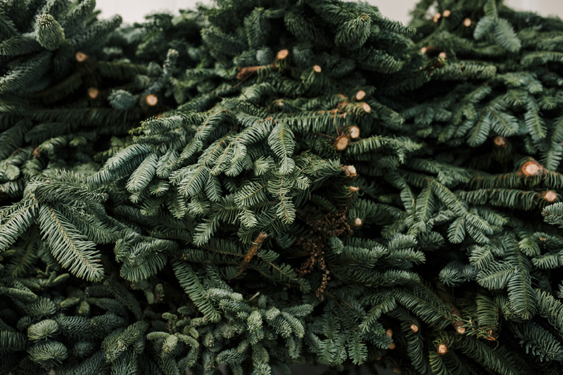 FT_BStore_17.11.24-15