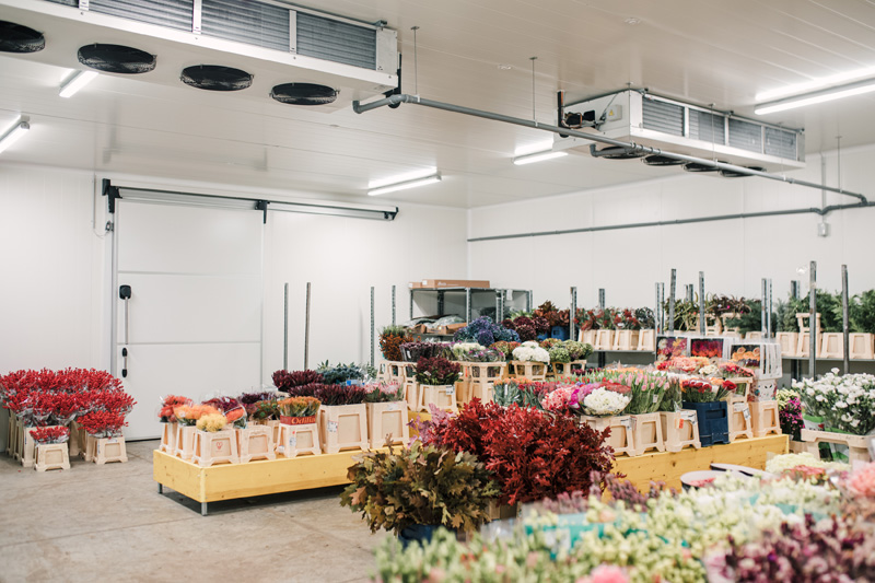 FT_BStore_17.11.24-16