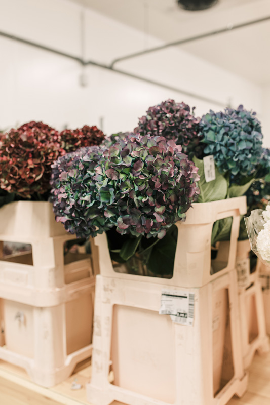 FT_BStore_17.11.24-18