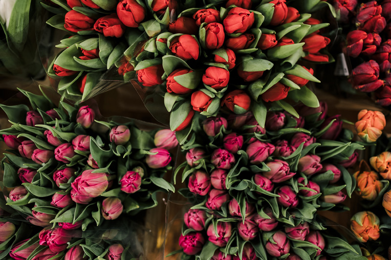 FT_BStore_17.11.24-22