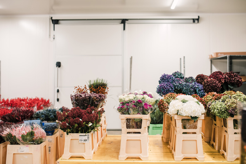 FT_BStore_17.11.24-24