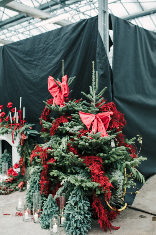 FT_BStore_17.11.24-27