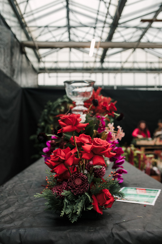 FT_BStore_17.11.24-37