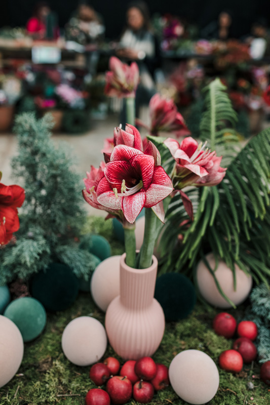 FT_BStore_17.11.24-5