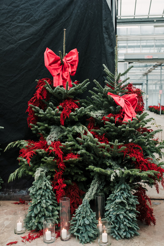 FT_BStore_17.11.24-59