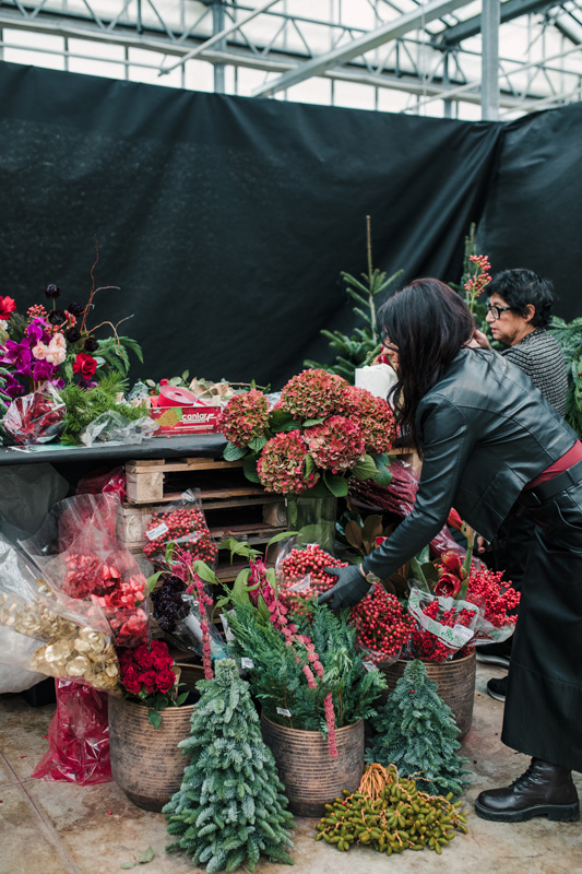 FT_BStore_17.11.24-8